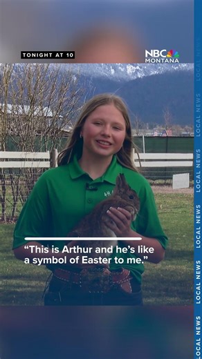 MONTANA MOMENT: Meet the 4-H ambassador sharing her love of rabbits in this Easter special
