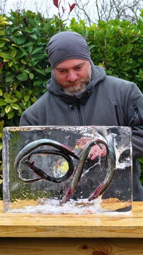 Lamprey Cooking: A Taste Test of Exotic Seafood Delicacies