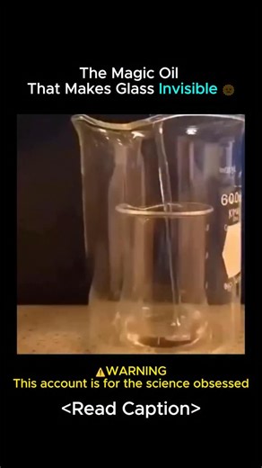 Science on Instagram: "💧 Rheology: The Physics Of Non-Newtonian Fluids Oobleck Is A Classic Example Of A Shear Thickening Fluid (Also Known As A Dilatant). 🧱 Unlike Water, Its Viscosity (\eta) Is Not Constant; It Is Directly Dependent On The Shear Rate (\dot{\gamma}) Applied To It. At Low Velocities, The Cornstarch Granules Are Lubricated By Water And Slide Past Each Other Smoothly. However, Under Sudden Impact, The Water Is Forced out From Between The Particles, Causing Them To Jam Together I