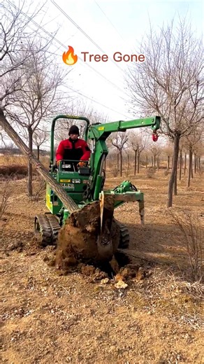 Unbelievable Tree Uprooting Machine in Action! 🌳🚜 #TreeRemoval #HeavyMachinery #Satisfying