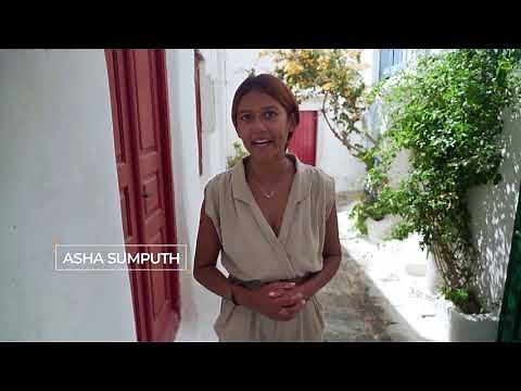 Biomimicry: How the natural world is teaching us to be greener | Sustainable Energy