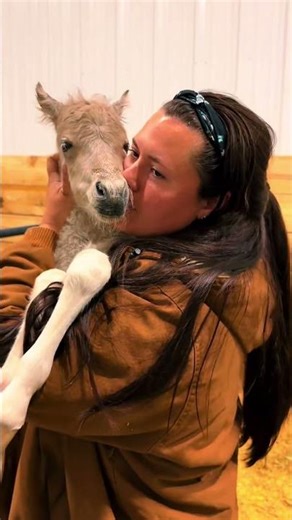 🐴😄Sweet and Funny Baby Horse Moment #horse #adorably #babyhorse