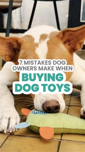 7 Mistakes Owners Make When Buying Dog Toys 🐶🧸 #pets #petcareprovider
