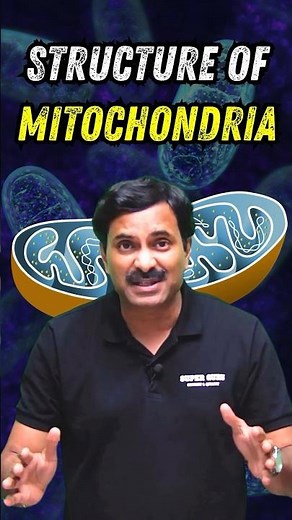 Structure of Mitochondria #biology #neetbiology #neet2024 #foryou