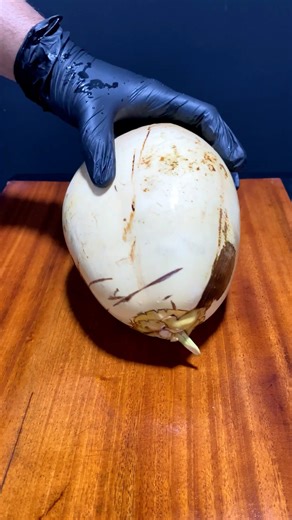 Fresh Coconut Cutting 🥥🌴 #fruit #asmr #reels #satisfying #relaxing #coconut #shorts