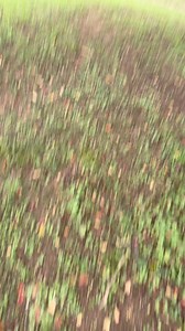 Baby rescued just in time | Exploring Alabama