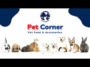 Pet Shop Social Media Ads