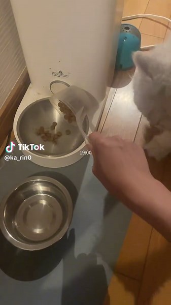 勉強と恋愛の両立を成功させる夜のルーティン