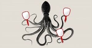 Everyone Has an Octopus Opinion