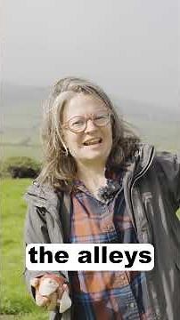 Going Off-Grid: How We’re Using Movable Solar Trailers on Our Regenerative Farm