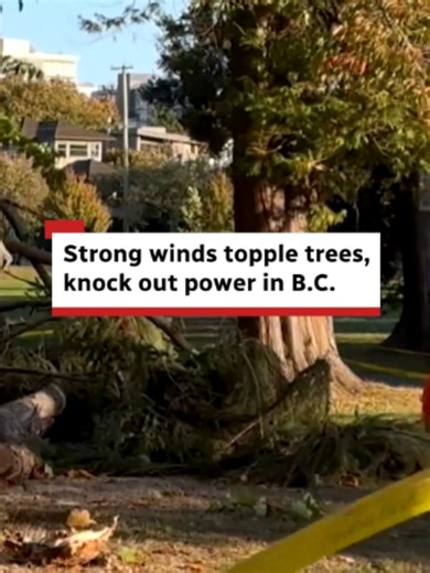 Dozens of reports of wind damage came in as powerful winds of up to 70 km/h swept across B.C. Photos and videos showed large trees and limbs toppled down by the gusts, with some falling onto parks and streets. #winds #power #vancouver #cbcnews #britishcolumbia