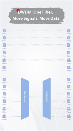 What is DWDM?丨FS#dwdm #opticalnetworking #shorts