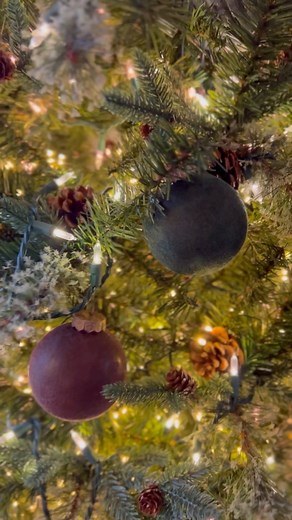 What's that magic powder you ask?It's it's the finest flocking powder, and it is amazing. I wanna flock everything now.I started with craft bulbs off of Amazon. You can find the link on my Amazon storefront, or in my LTK. Both are linked in bio.Then, I painted them the same color of the flocking in this case brown. I let them dry completely, and covered them in a layer of Modpodge.Then I simply put the flocking powder all over them and let them dry. Once dry, you can brush the excess flocking of