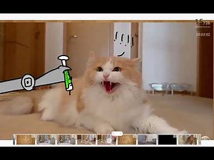 Robo kitty meme ft dd_the_cat creamheroes Claire luvcat