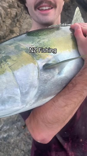 Can’t beat NZ Fishing 💥 #fish #diving #ocean #newzealand #marine