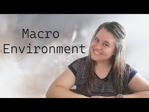 Macro Environment | Business studies