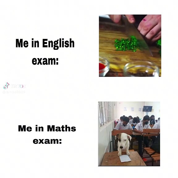 Understanding Math Performance Through Memes