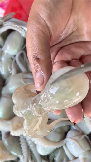 This 😱 Octopus 🐙Clean Looks Awesome #seafood #cleaning #shorts