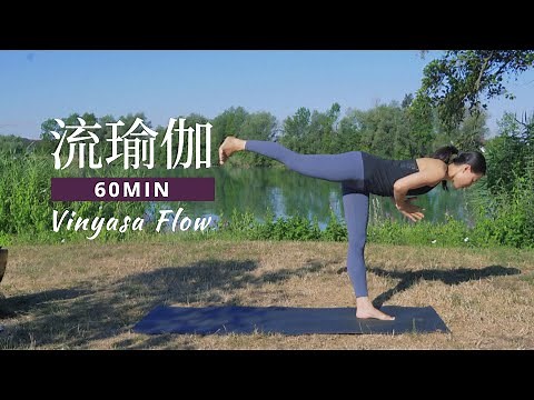 【60分钟中阶流瑜伽】全身综合练习 增强力量 灵活关节 轻盈身心 | Yue Yoga