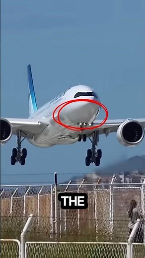 Airbus A330 Freighter Nose Hump Explained #aviation #airplane #airbus #shorts #ytshorts