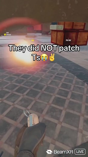 Did They Patch This Glitch? 😭