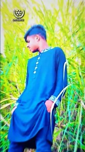 Xml file amr comment box a dewha ase 📂