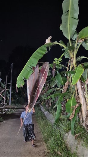 Use jumbo tools #shortvideo