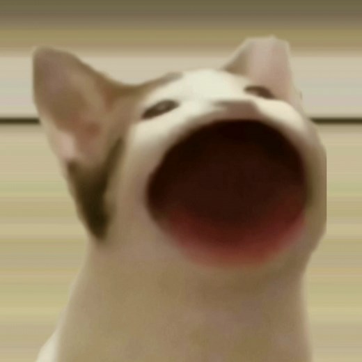 Pop Cat Meme Compilation featuring Nayeon from Twice