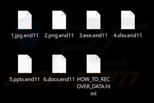End (MedusaLocker) Ransomware