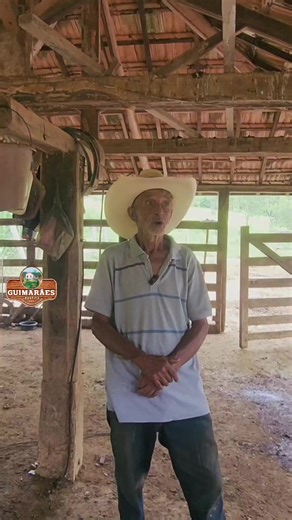 A Realidade da Vida no Campo