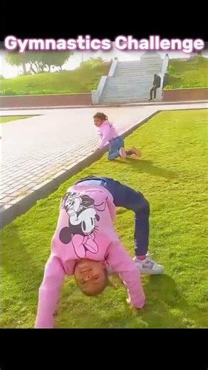 Gymnastics Like a Pro