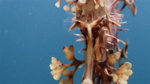 🌊 Ocean Film Festival World Tour 2026 🌊 📆 Thursday 5 March 🕚 7pm 📍 Araluen Arts Centre 🎟 https://araluenartscentre.nt.gov.au/whats-on/ocean-film-festival-world-tour-2026 Immerse yourself in a breathtaking 3-hour journey through the world's most spectacular marine environments. The Ocean Film Festival World Tour presents an extraordinary collection of short films that capture the raw beauty, untamed power, and majesty of our oceans. These carefully curated films showcase stunning cinematogr