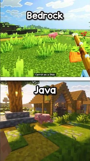 Minecraft Java (Actions & Stuff) vs Bedrock (Fresh & Smooth) ⛏️ #minecraft
