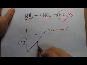 How to build a no water change tank part1: nitrates are not the only problem