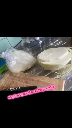 easy sauerkraut homemade😋 #sauerkraut #gesund #gemuse #germanfood #permented