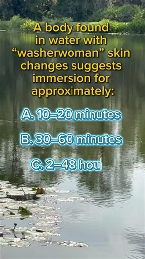 A body found in water with “washerwoman” skin changes suggests immersion for approximately: