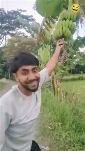 #timelapse start to finish alone build log cabin (wooden house) how to build wooden cabin surviva 🤣.