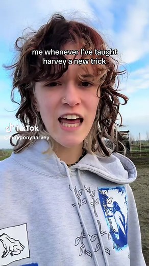 Mastering Miniature Horse Tricks: My Favorite Techniques