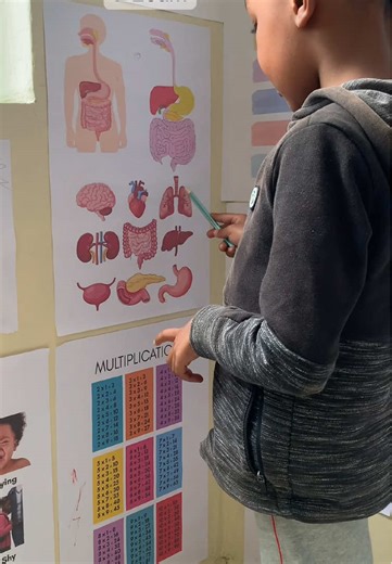 I love our Homeschool Routine 🥰 Today we had Math, English and Science #activitiesforkids #homeschoolroutine #activitiesforkidsathome #stemforkids #schoolroutine