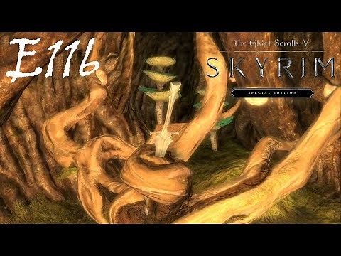 Restoring Order - Investigating Solitude Sewers // Skyrim // Episode 116