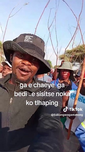 Bakang Mathe: Ge Chaya ae Chaye - A Musical Journey