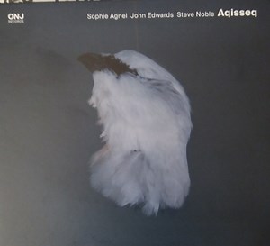 Sophie Agnel, John Edwards, Steve Noble - Aqisseq