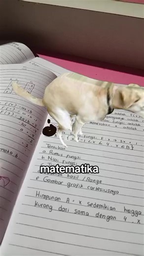 #meme #math #fyp #fypage