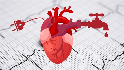 Heart Attack Vs Cardiac Arrest: What’s The Difference?