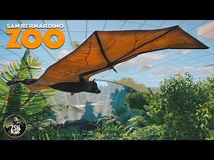 Building a Flying Fox Forest in Franchise Mode! | San Bernardino Zoo | Planet Zoo