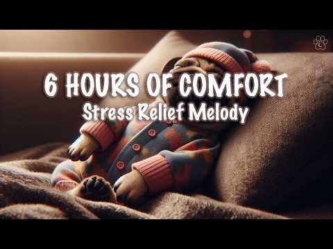 6 HOURS CUTE COZY RELIEF 🐾 Soft Piano for Cozy Sleep & Stress Relief