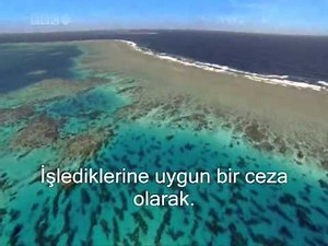 Nebe (amme) Suresi Ebu Bekir eş-Şatiri