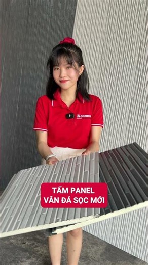 Làm nhà không cần xây tường với tấm panel tôn lõi xốp cách nhiệt