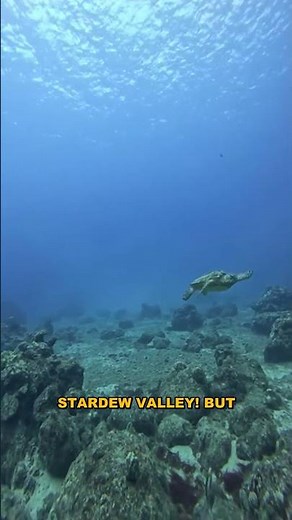 Coral Island vs Stardew Valley: Tropical Farming Adventure