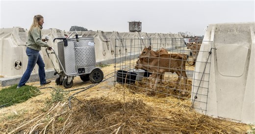 California county embraces humane farming. But these activists want more